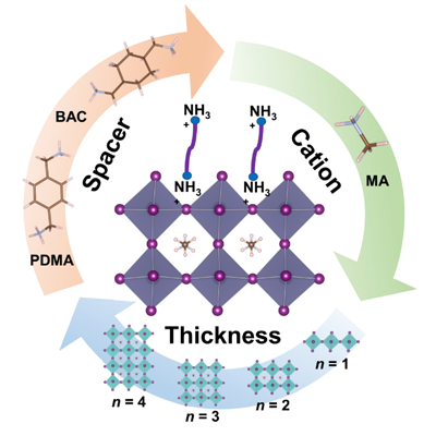 95296aa0bb6d406bbbf038b2a88c9e5a.png ???3.png